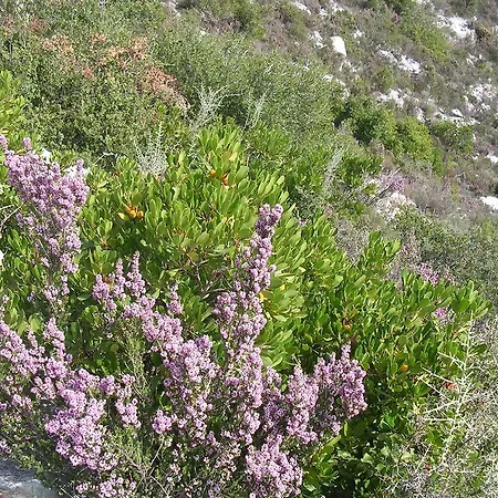Homeberry, Traditional Stone House In Holiday home
