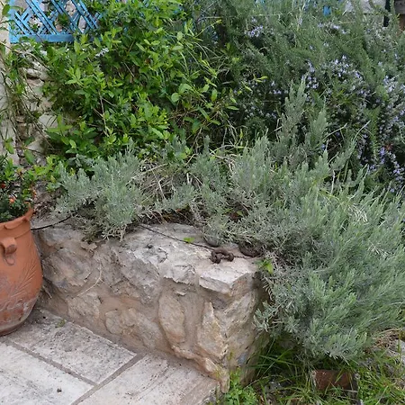 Homeberry, Traditional Stone House In בית נופש